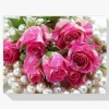5D Pintura Diamante - Rosa rosada
