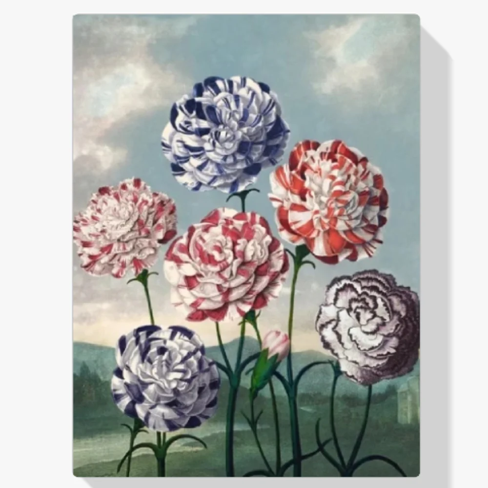 Pintura Diamante - Grupo de claveles