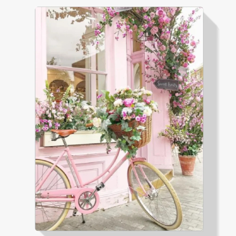 Pintura Diamante - Bicicleta en floristería