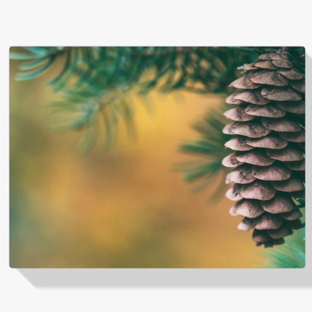 Pintura Diamante - Decoración del árbol de Navidad Cono de pino