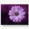 Pintura Diamante - Flor púrpura