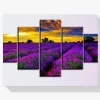 Pintura Diamante - Flores moradas en un campo 5 paneles