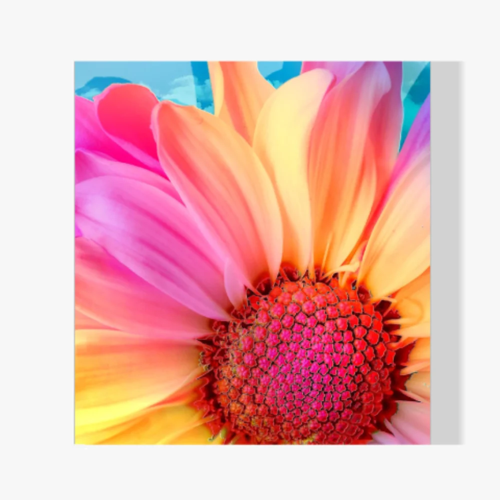 Pintura Diamante - Girasol de colores