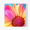 Pintura Diamante - Girasol de colores