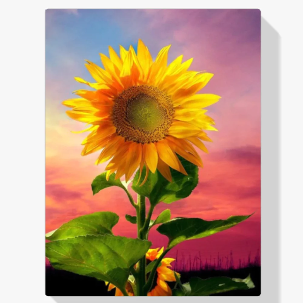 Pintura Diamante - Girasol en el campo