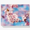 Pintura Diamante - Hermosa flor