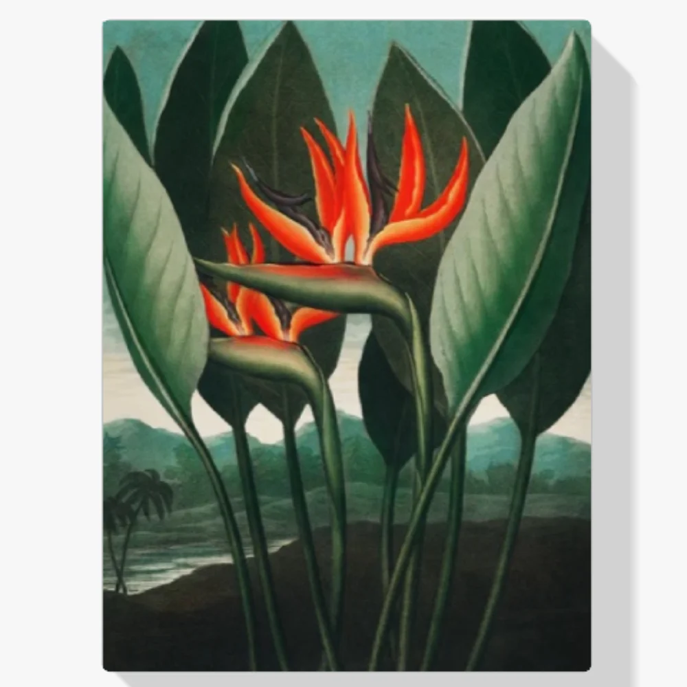 Pintura Diamante - La planta reina