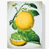 Pintura Diamante - Limón fresco
