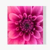 Pintura Diamante - Macro foto flor