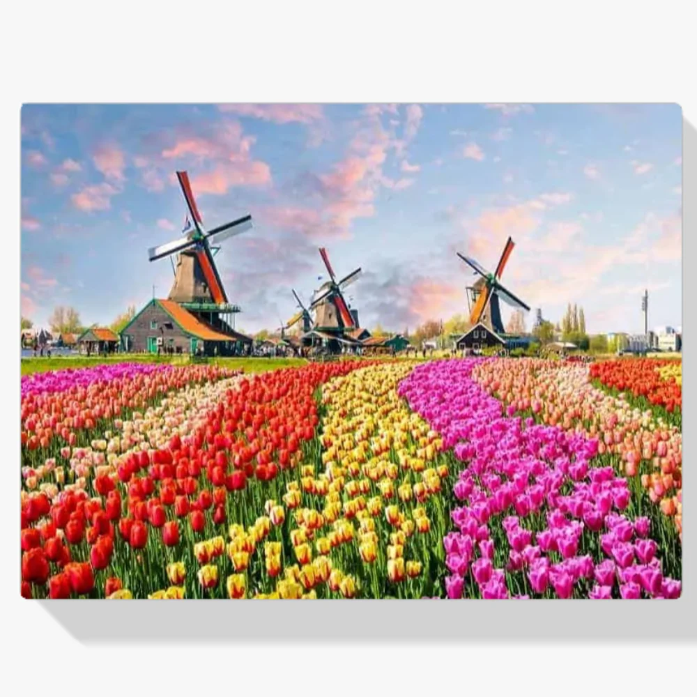 Pintura Diamante - Molinos de viento con tulipanes holandeses