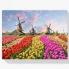Pintura Diamante - Molinos de viento con tulipanes holandeses