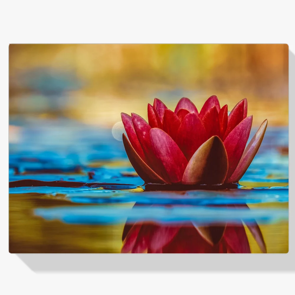 Pintura Diamante - Nenúfar rojo