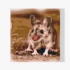 Pintura Diamante - Pequeño hámster