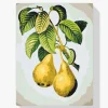 Pintura Diamante - Peras maduras