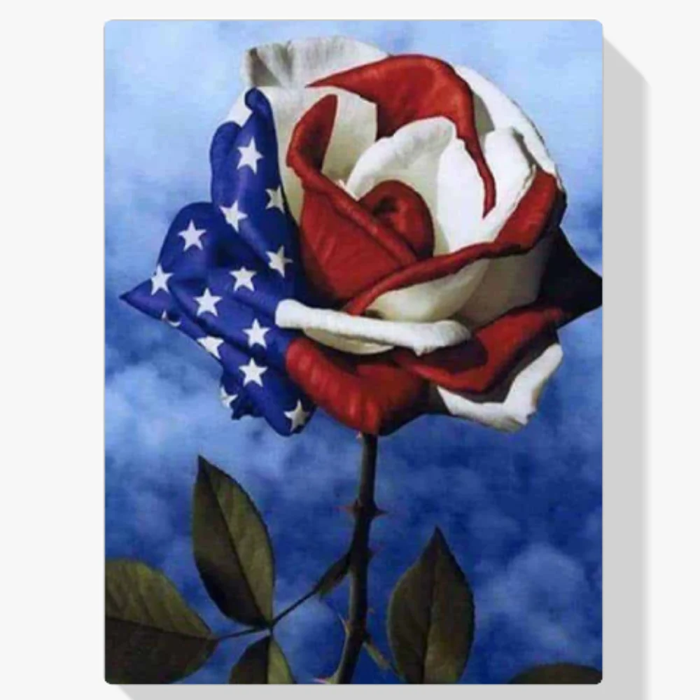 Pintura Diamante - Rosa americana