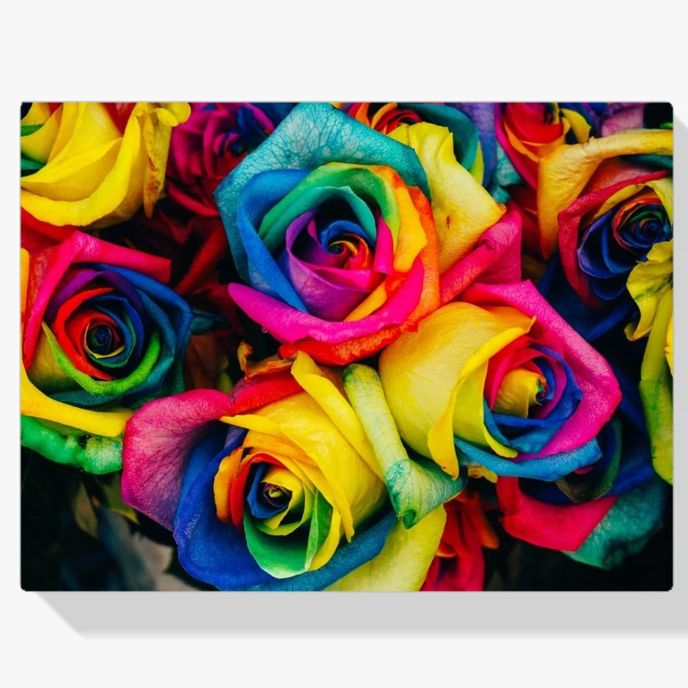 Pintura Diamante - Rosas Arcoiris