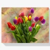 Pintura Diamante - Tulipanes de colores