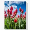 Pintura Diamante - Tulipanes rojos