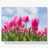 Pintura Diamante - Tulipanes rosas