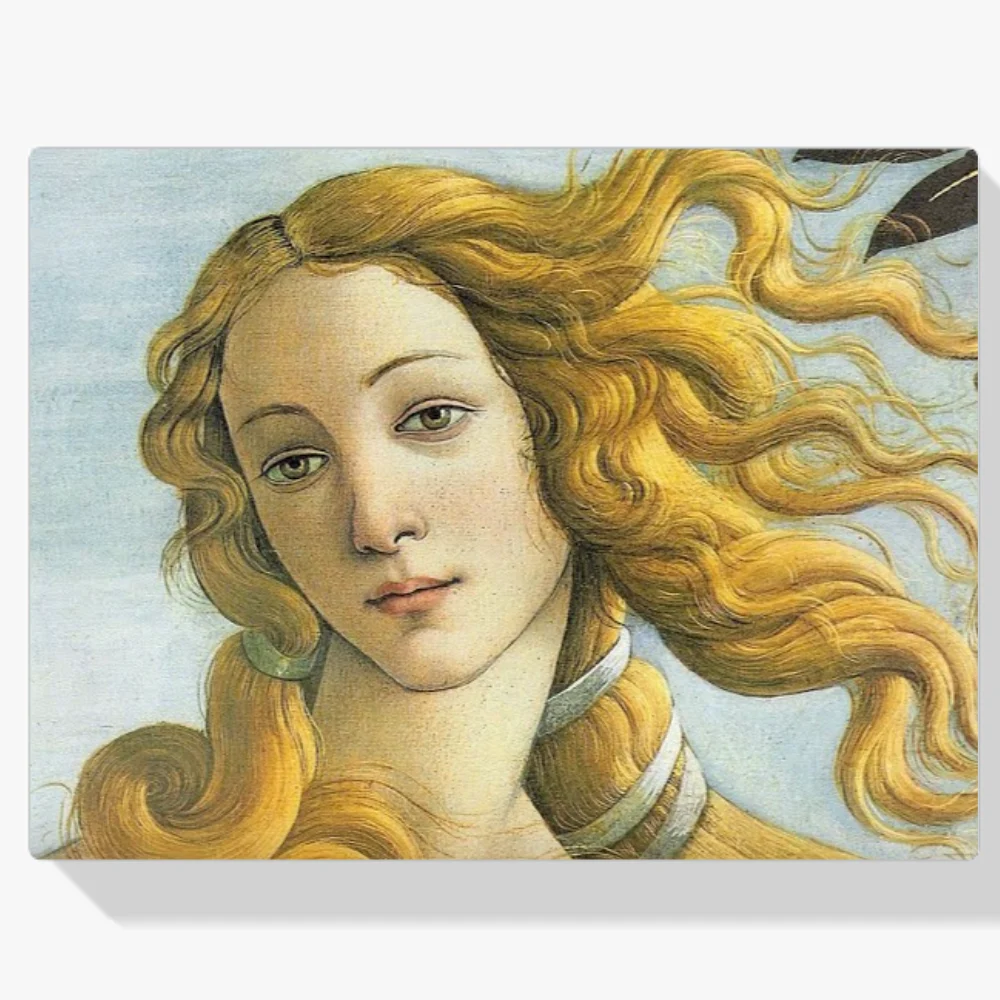 Pintura Diamante - Venus