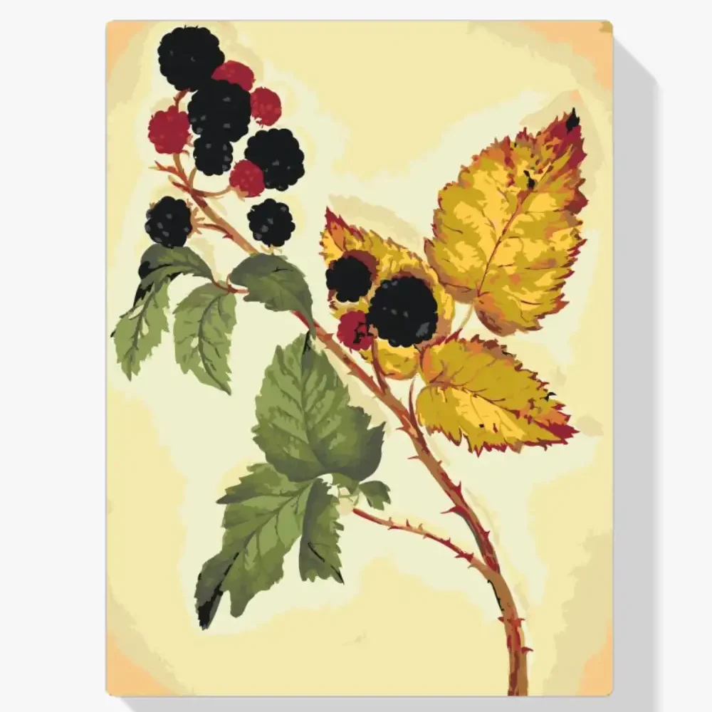 Pintura Diamante - Zarzamora vintage