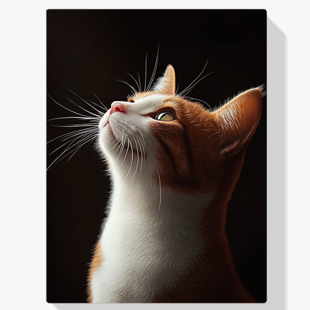 Pintura Diamante - Mirada gatuna